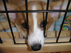 Resize of PICT0711_thumb.jpg